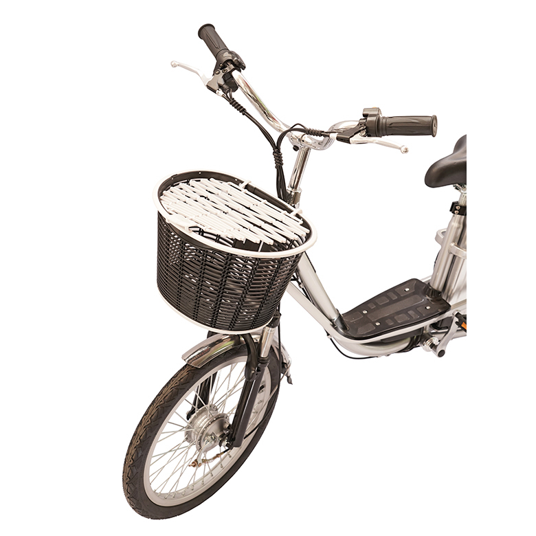 Bicicleta Eléctrica Fortunati Modelo BL- 29 (Linea 2026) - Imagen 5