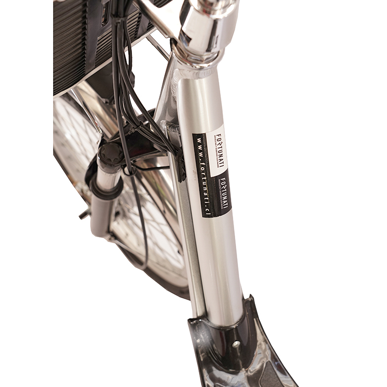 Bicicleta Eléctrica Fortunati Modelo BL- 29 (Linea 2026) - Imagen 6